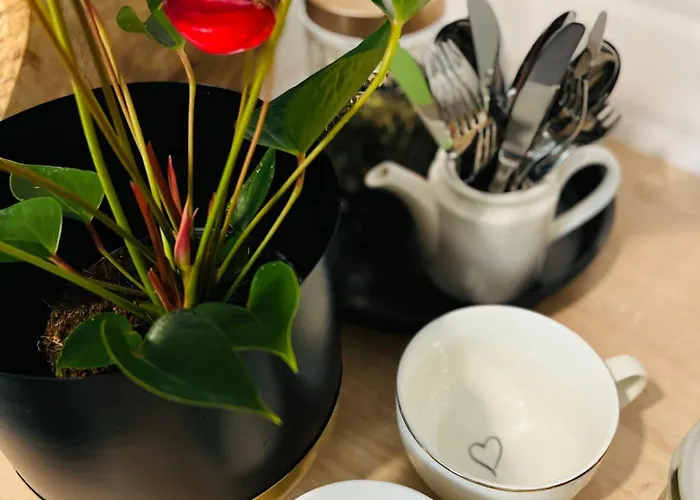 Lägenhet Nawojowski